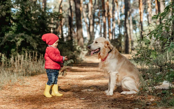Niña con perro golden retriever en el bosque —  Fotos de Stock