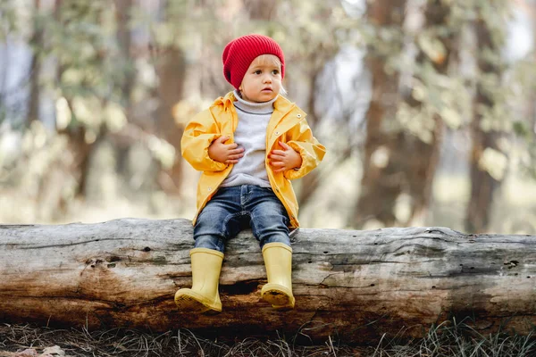 Kleines Mädchen geht im Wald spazieren — Stockfoto