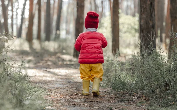 Little girl walking in the forest — Stock Photo, Image