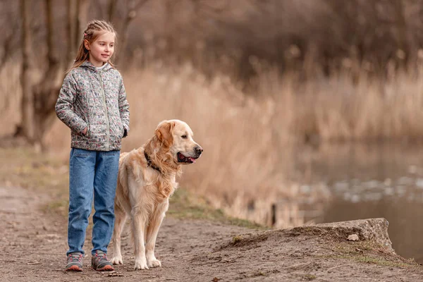 Девочка-подросток с золотой собакой — стоковое фото