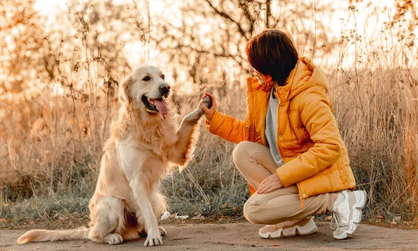 Flicka med golden retriever hund — Stockfoto
