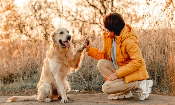 Golden retriever köpeği olan kız — Stok fotoğraf