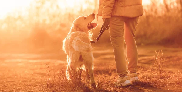 Chica con perro golden retriever — Foto de Stock