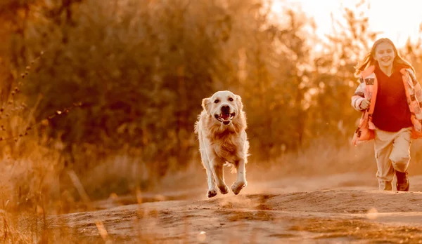 Chica con perro golden retriever —  Fotos de Stock