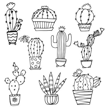 Beyaz üzerine kaktüs.