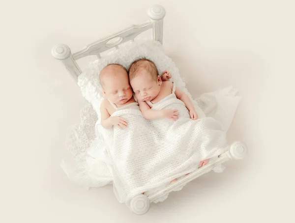 Twins newborn studio portrait — Stock Photo, Image