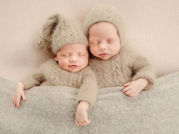 Twins newborn studio portrait — Stock Photo, Image