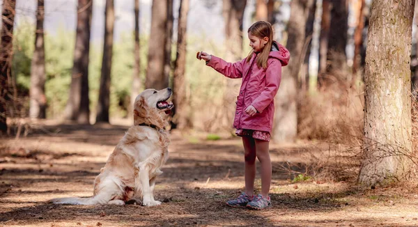 Menina com cão golden retriever na madeira — Fotografia de Stock