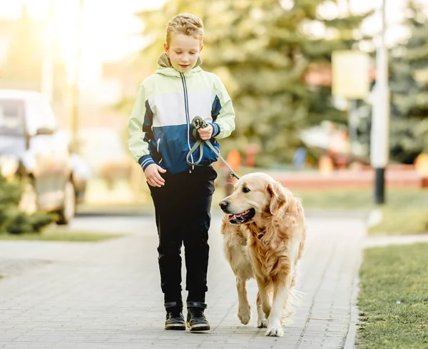 Preteen chlapec se zlatým retrívrem — Stock fotografie