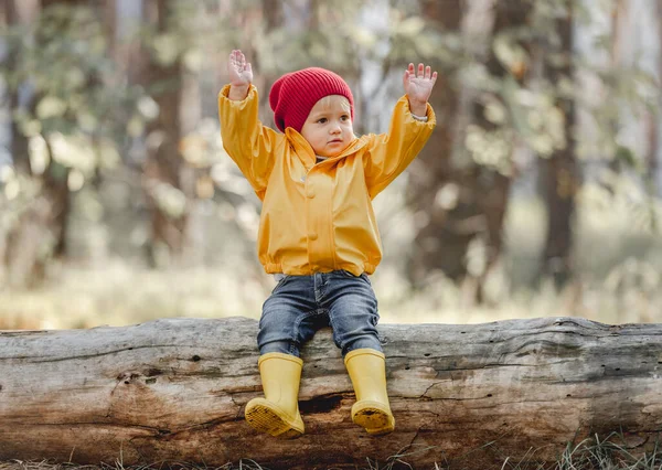 Little girl walking in the forest — Stock Photo, Image