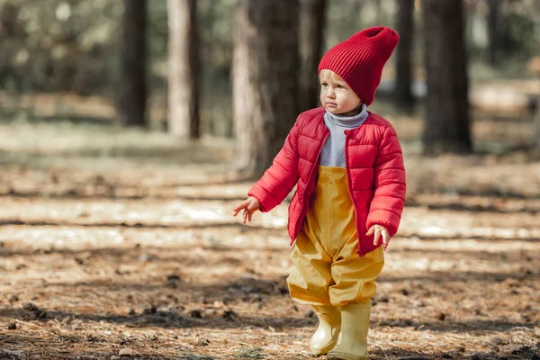 Little girl walking in the forest — Stock Photo, Image