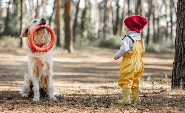 Petite fille avec chien récupérateur d'or dans la forêt — Photo