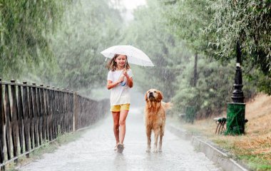 Yağmurlu günlerde Golden Retriever köpeği olan kız
