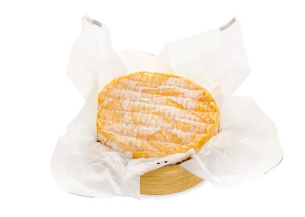 Camembert sajt fehéren — Stock Fotó