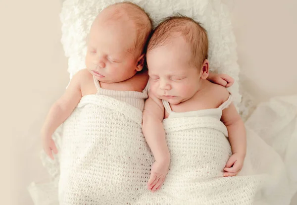 Twins newborn studio portrait — Stock Photo, Image