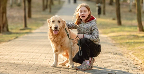 Golden retriever köpeği olan küçük bir kız. — Stok fotoğraf