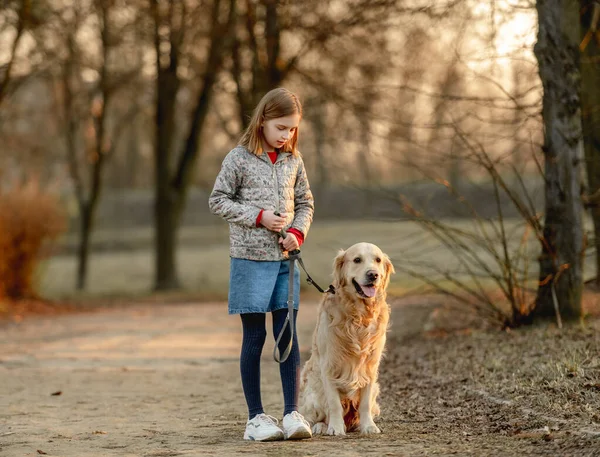 Preteen fille avec golden retriever chien — Photo