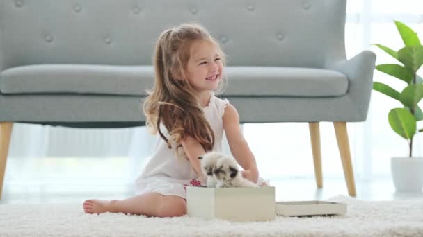 Kind meisje met ragdoll kittens — Stockvideo