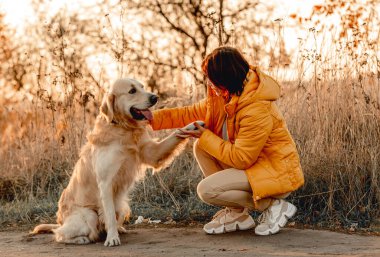 Golden retriever köpeği olan kız