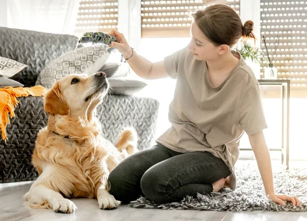 Söt flicka med golden retriever hund — Stockfoto