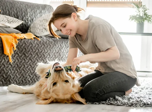 可愛いです女の子とともに黄金の検索犬 — ストック写真