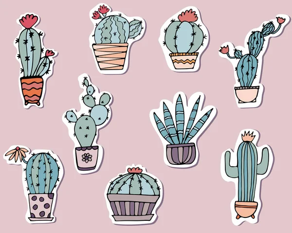 Doodle cactus sobre blanco — Vector de stock