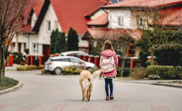 Menina e cão golden retriever — Fotografia de Stock
