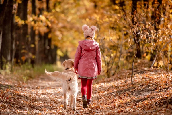 未成年の子供と黄金の検索犬 — ストック写真