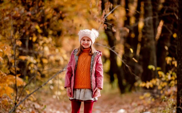 Niña preadolescente en el parque de otoño — Foto de Stock
