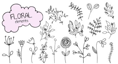 Botanik vektör resimleri