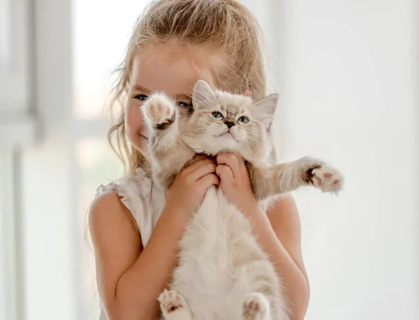 Girl with ragdoll kitten — Stock Photo, Image