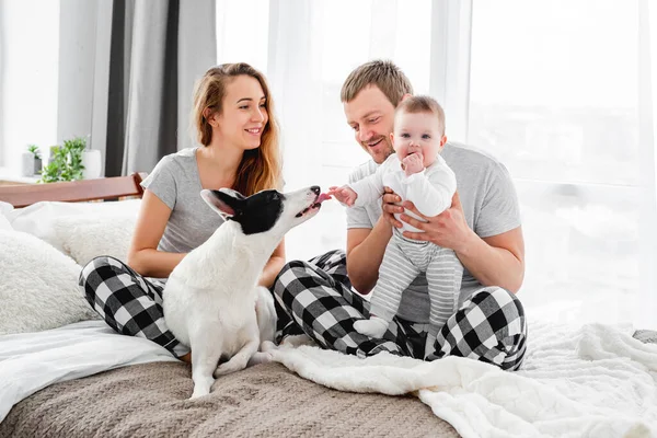 Familj med hund i sängen — Stockfoto