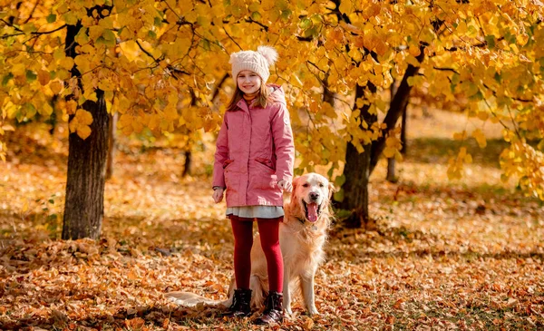 Preteen Κορίτσι Παιδί Σκυλί Golden Retriever Στέκεται Στο Πάρκο Φθινόπωρο — Φωτογραφία Αρχείου