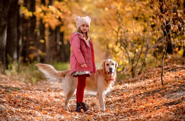 Симпатичная Девочка Золотой Собакой Ретривером Смотрит Камеру Осеннем Парке Портрет — стоковое фото