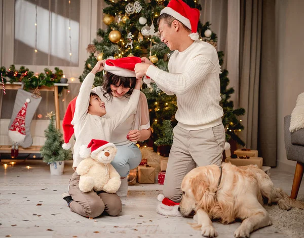 Famiglia Sorridente Mettere Cappelli Babbo Natale Divertendosi Vicino All Albero — Foto Stock
