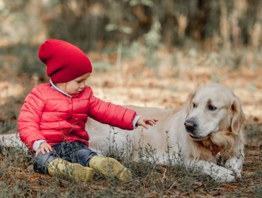Golden Retriever köpekli küçük kız sonbaharda ormanda yerde oturuyor. Açık havada sevimli köpek yavrusu olan dişi bir çocuk.