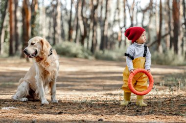Küçük kız ormanda Golden Retriever köpeğiyle oynuyor ve elinde plastik oyuncakla. Ormanda köpek besleyen sevimli dişi çocuk.