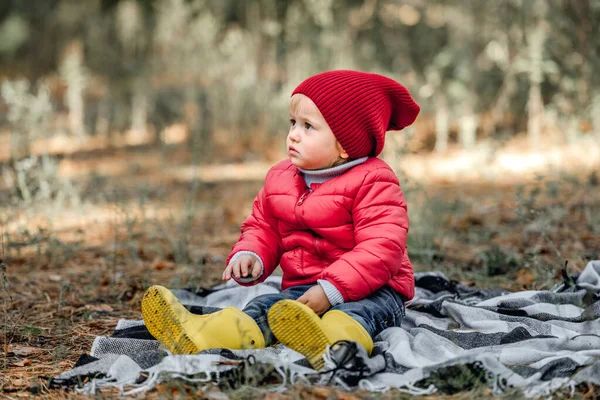 Criança Sentada Chão Xadrez Floresta Outono Olhando Para Trás Retrato — Fotografia de Stock