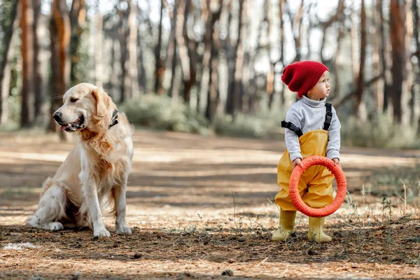Menina Brincando Com Cão Golden Retriever Floresta Segurando Brinquedo Borracha — Fotografia de Stock
