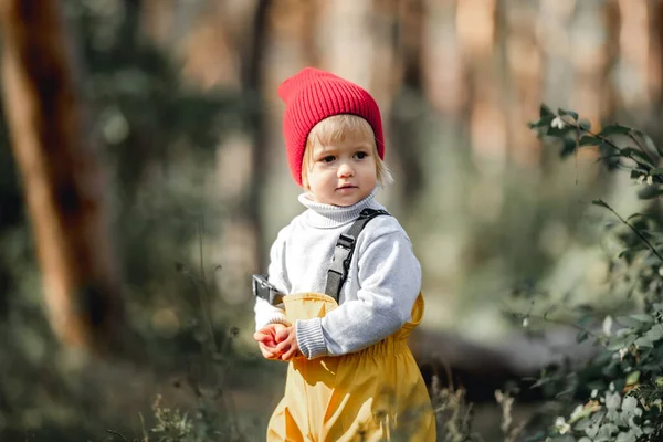 Piccolo Ritratto Carino Bambina Nella Foresta Autunnale Carino Bambino Donna — Foto Stock