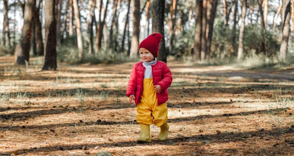 Malá Roztomilá Holčička Kráčí Podzimním Lese Roztomilé Ženské Dítě Nosí — Stock fotografie