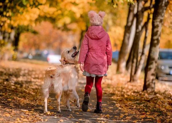 Preteen Dívka Dítě Zlatým Retrívrem Pes Procházky Podzimním Parku Krásný — Stock fotografie