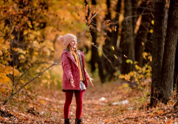 Preteen Girl Kid Looking Fallen Yellow Leaves Autumn Park Beautiful — Stock fotografie