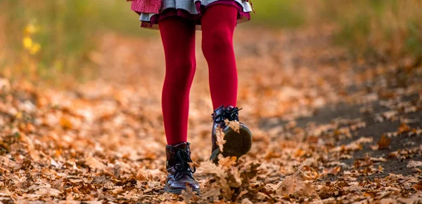 Předpuberťačka Chodí Podzimním Parku Červených Punčocháčích Detailní Portrét Dětských Nohou — Stock fotografie