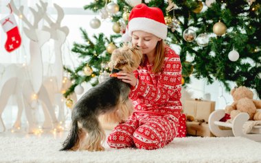 Küçük kız Noel ağacının yanında köpekle oynuyor ve gülümsüyor. Noel Baba şapkası takan bir çocuk köpek teriyeriyle yeni yılı kutluyor.