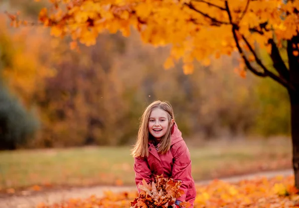 Kleutermeisje Kind Met Geel Gevallen Bladeren Handen Glimlachend Het Herfstpark — Stockfoto