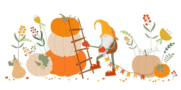 Herbstelfen Mit Hüten Mit Kürbiserntevektorillustration Als Symbol Der Herbstferien Niedliche — Stockvektor