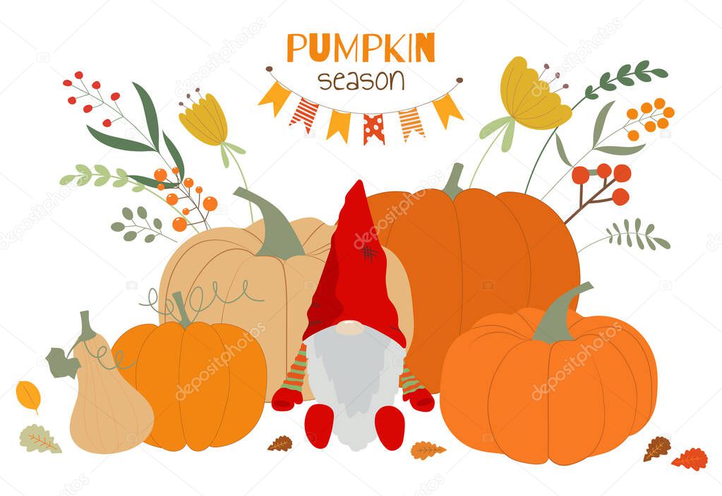 Autumn elfs wearing hats with pumpkins harvest vector illustration as symbol of autumn holidays. Cute fall paintings set