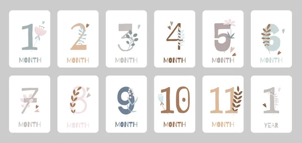 Creative Annual Calendar Cartoon Month Drawings Flowers Plants Newborn Cute — ストックベクタ