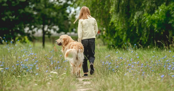 Zadní Pohled Holčičku Chodící Pes Kvetoucí Louce — Stock fotografie